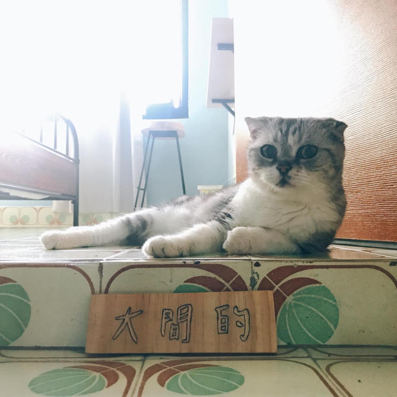 A Fat At Home 台南 エクステリア 写真