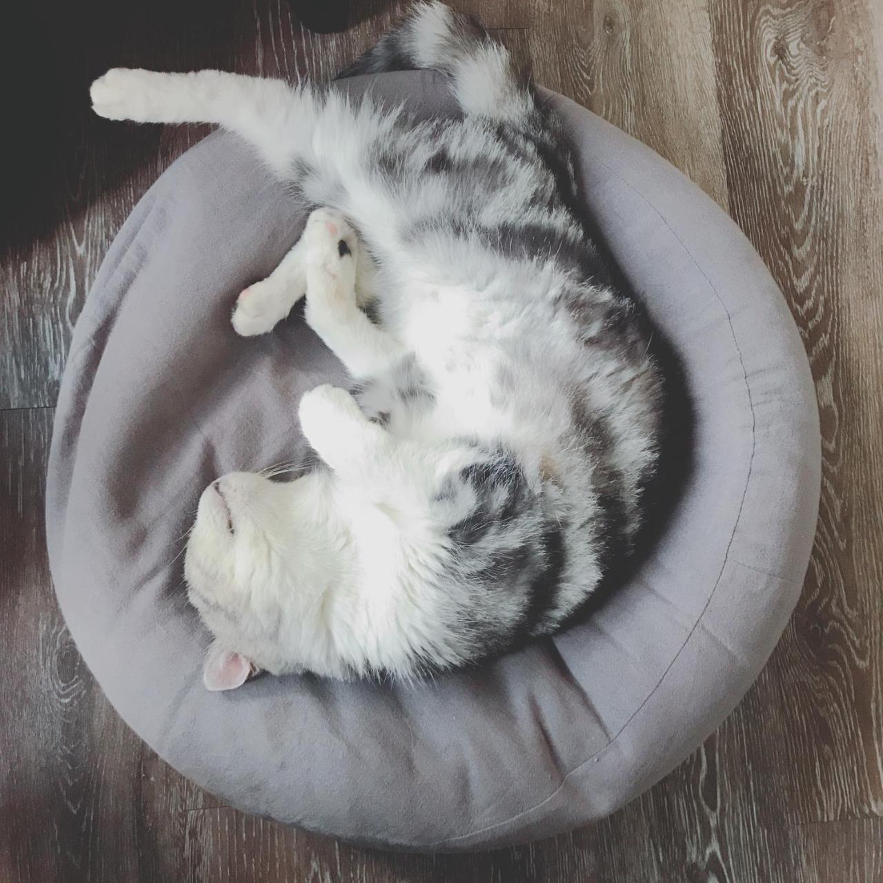 A Fat At Home 台南 エクステリア 写真